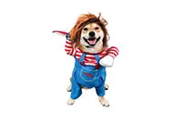 COSTUME-PET-PIRATA-25781